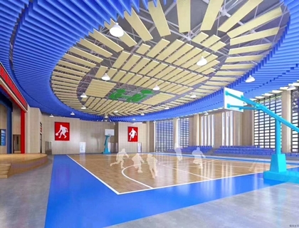 體育館的小秘密“平板吸聲體”