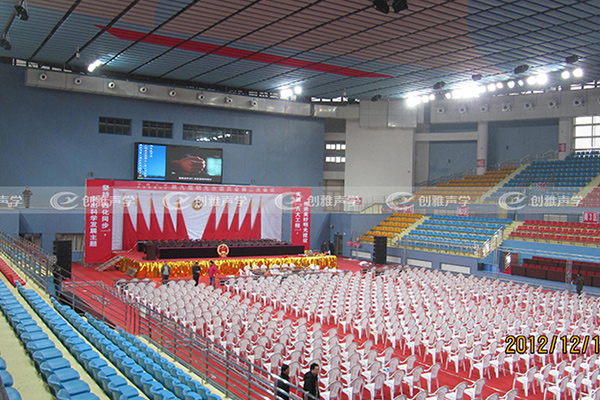 明光市體育館空間吸聲體吸音