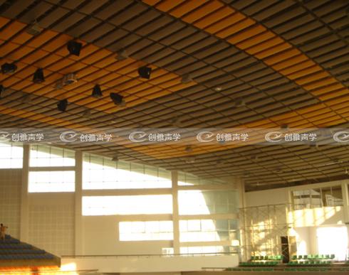 體育館空間吸聲體的特點和作用都有哪些功能