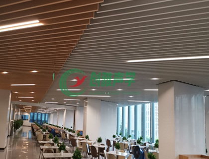 廣州創雅聲學案例