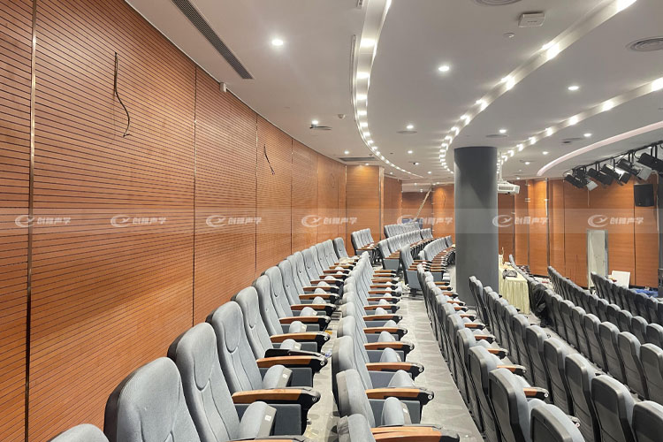 廣州多功能演藝廳階梯室項目